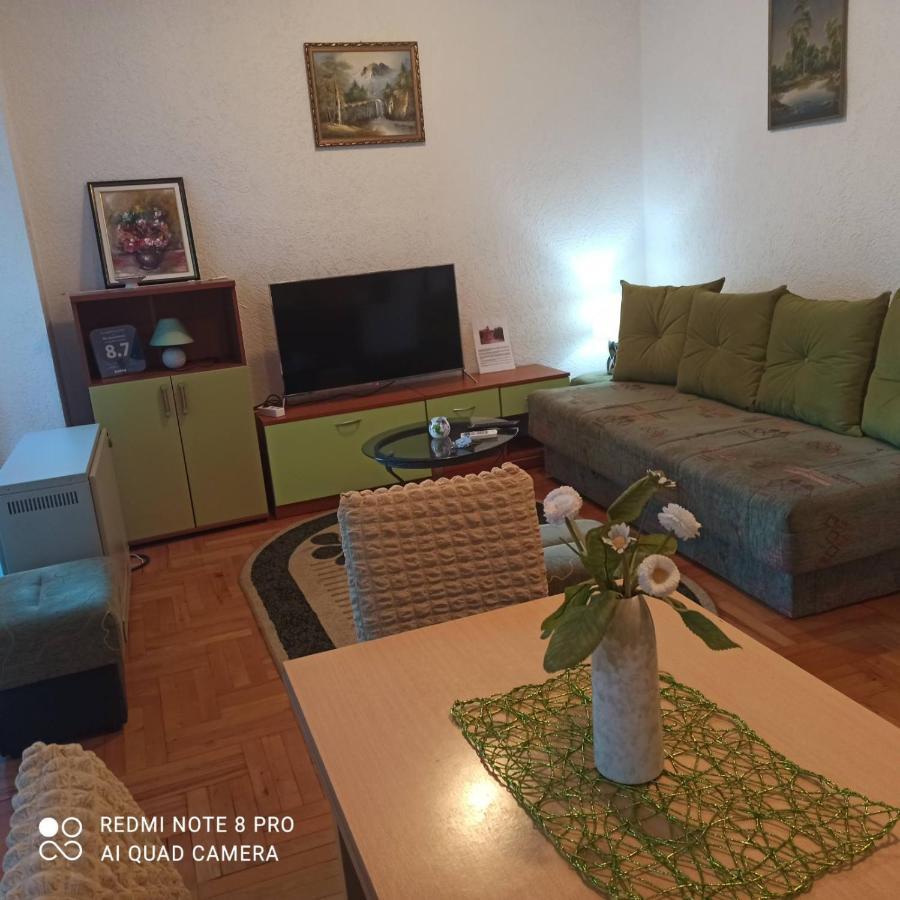 Apartman Radicevic Vrnjačka Banja Eksteriør bilde